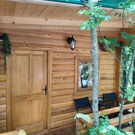 Still Cabin ツェティニェ エクステリア 写真